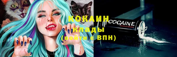 сатива Богородск