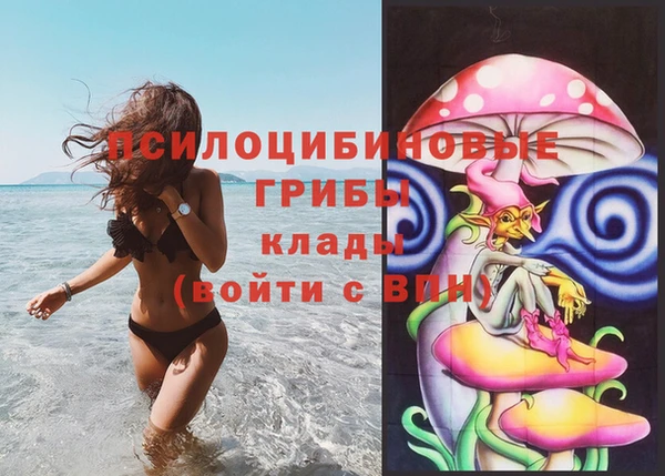 тгк Богородицк