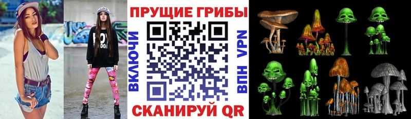 Псилоцибиновые грибы Magic Shrooms  площадка формула  Новокубанск 