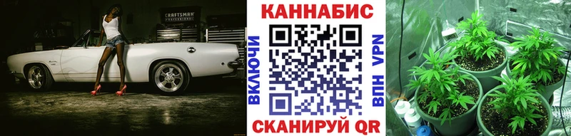 дарк нет клад  Новокубанск  Конопля LSD WEED  сколько стоит 